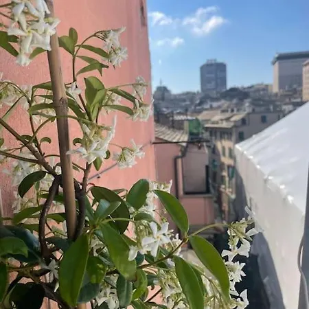 Il Nido Sui Tetti * 제노바